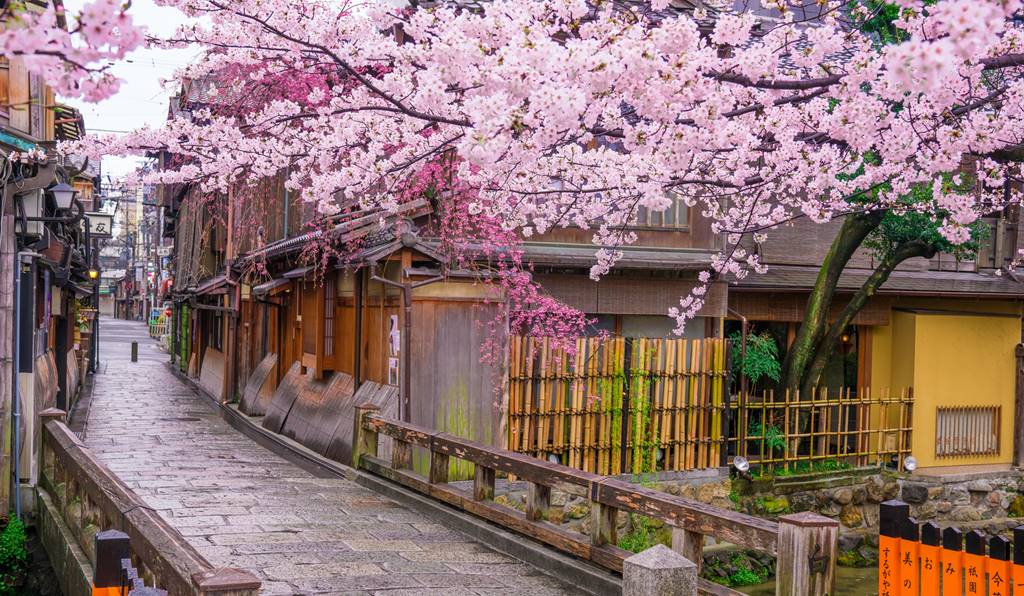 京都花街からの名付け